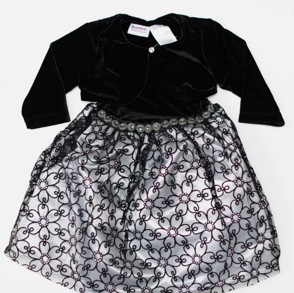 Blueberi Toddler Girl Dress & Shrug Set 2T